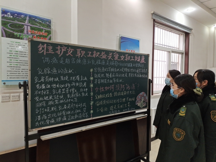 “两癌”防治宣传黑板板