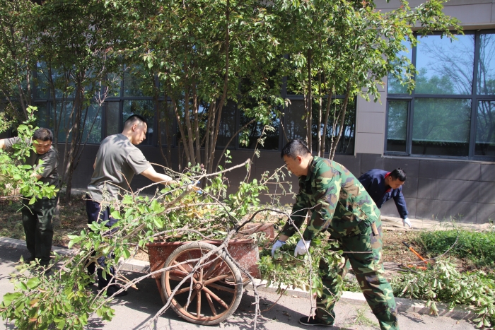 2025-4-25石家庄南站路域环境提升1,摄:周兴乐 2025-4-25石家庄南站路域环境提升1,摄:周兴乐