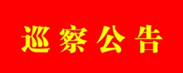 巡察公告