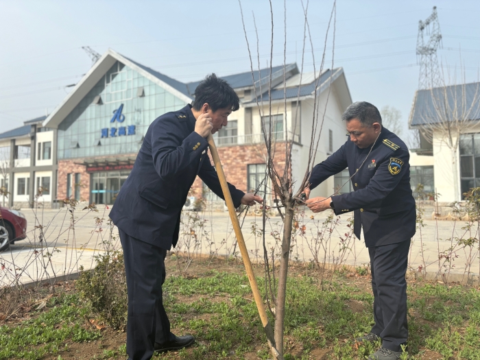 河沙镇站修剪果树