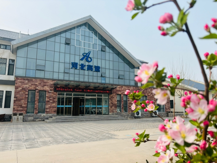 花开有信，高速有情。摄影杨利芳